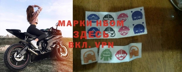 дживик Верхний Тагил