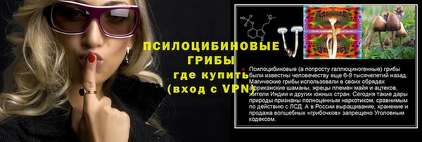 ГАЛЛЮЦИНОГЕННЫЕ ГРИБЫ Верхнеуральск