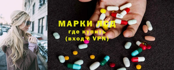 стафф Струнино