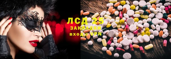 дживик Верхний Тагил