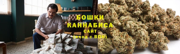 дживик Верхний Тагил