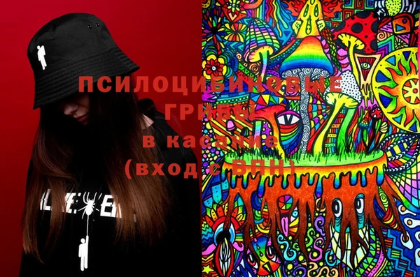 ГАЛЛЮЦИНОГЕННЫЕ ГРИБЫ Верхнеуральск