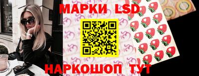 шишки Кандалакша