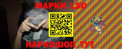 шишки Кандалакша