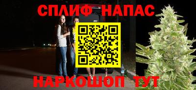 стаф Камышлов