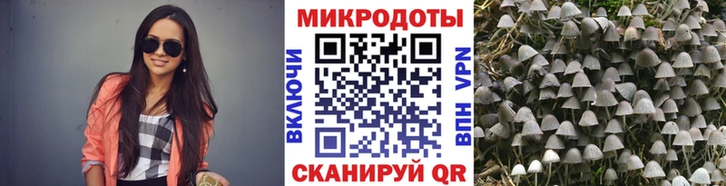 Галлюциногенные грибы Cubensis  Назарово 