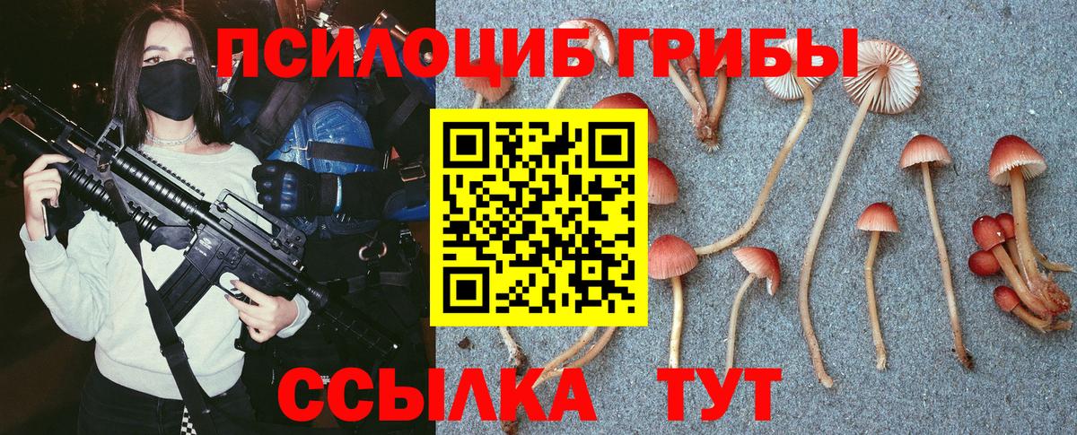 купить наркоту  Псилоцибиновые грибы GOLDEN TEACHER  Вход с VPN  Назарово 