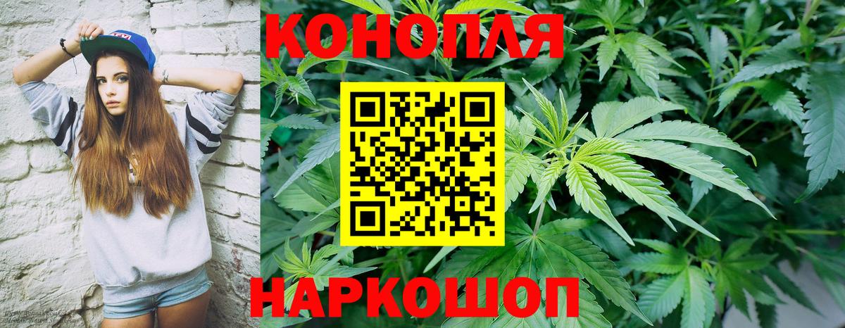 Канабис ГИДРОПОН Назарово